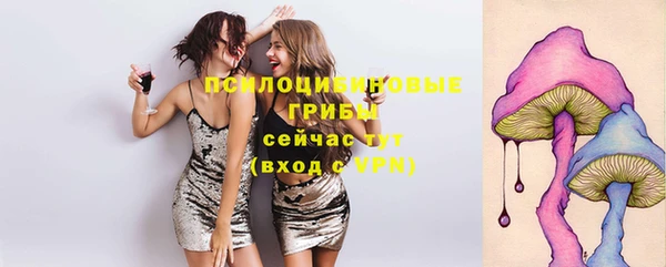 первитин Каменка