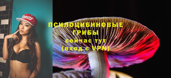 apvp Каменск-Шахтинский